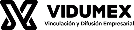 Vidumex